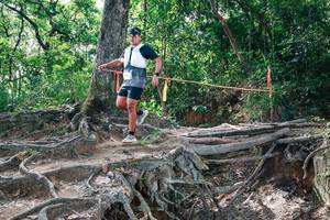 BIB: 
                            <button type="button" onclick="openModal(27720348)" class="btn btn-primary btn-sm float-right btn-popup" data-toggle="modal" data-target=".modal-high-quality">
                        <i class="fas fa-shopping-cart"></i> Add to Cart
                    </button>
                                            <button type="button" onclick="isThisMe(27720348, true)" class="btn btn-success btn-sm float-right btn-popup btn-isme hidden" data-toggle="tooltip" data-placement="bottom" title="นี่คือรูปของคุณใช่ไหม คลิกที่นี่เพื่อเอาเข้าอัลบั้ม">
                        <i class="fas fa-plus"></i> Add to album
                    </button>
                    <button type="button" onclick="isThisMe(27720348, false)" class="btn btn-warning btn-sm float-right btn-popup btn-isnotme hidden">
                        <i class="fas fa-ban"></i> Remove from album
                    </button>